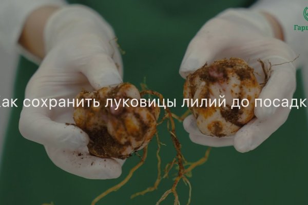 Магазин даркнета
