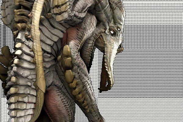 Kraken 13 at