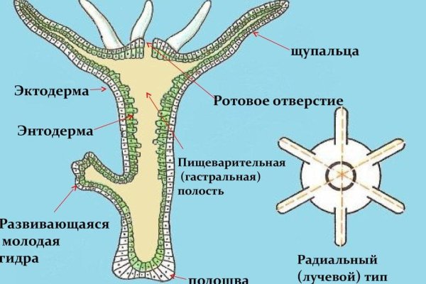 Кракен браузер ссылка