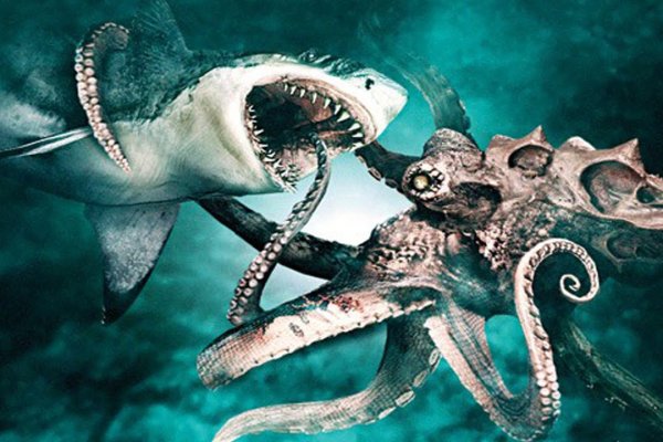 Kraken что это за магазин