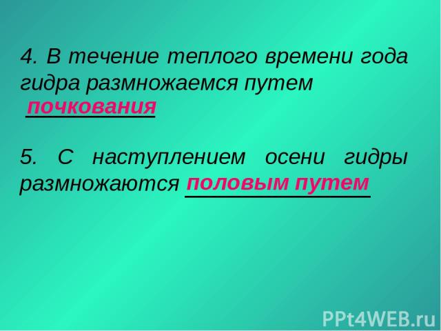 Kraken официальная ссылка